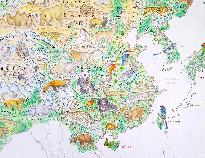 Pictorial map art of China, from artist cartographer Anton Thomas - his map Wild World.