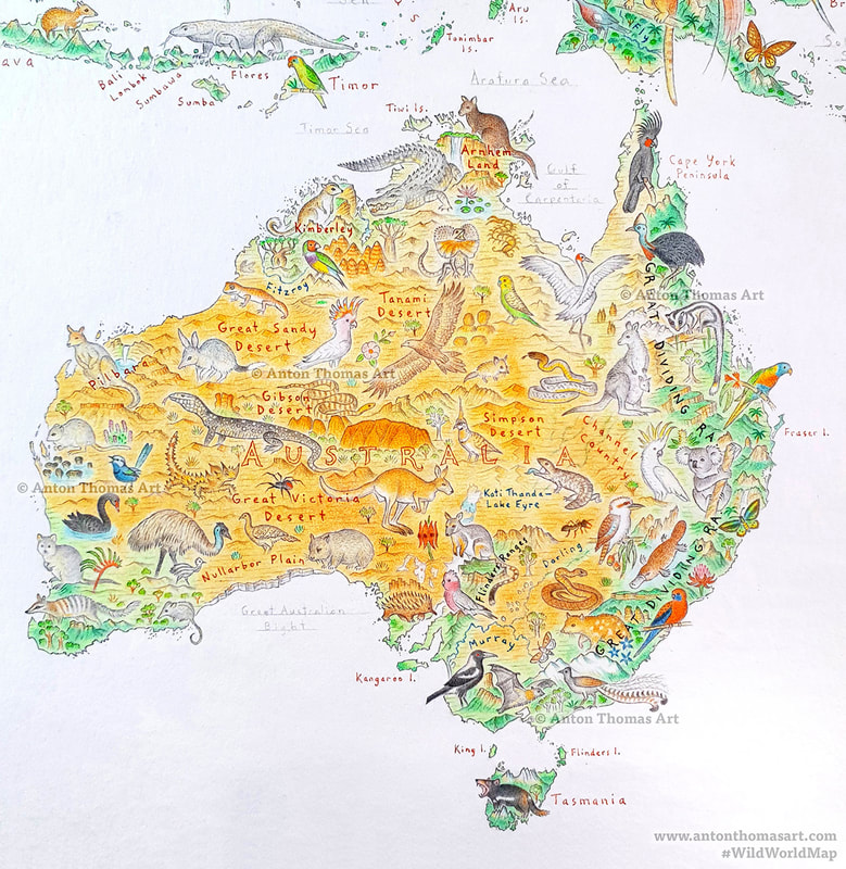 Pictorial map art of Australia, from artist cartographer Anton Thomas - his map Wild World.