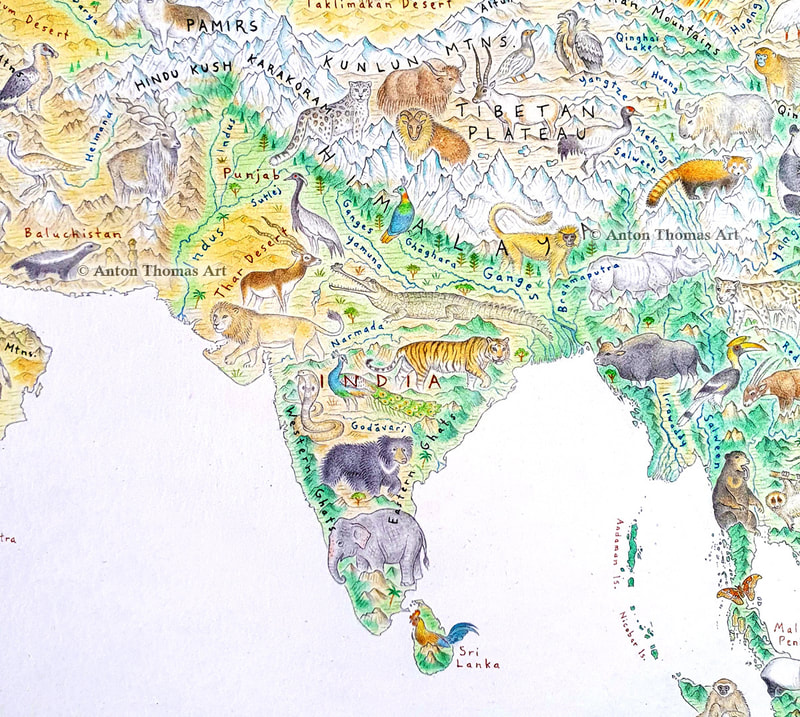 Pictorial map art of India, from artist cartographer Anton Thomas - his map Wild World.