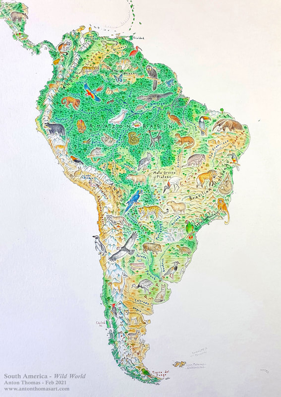 South America from Wild World, a map by cartographer Anton Thomas.